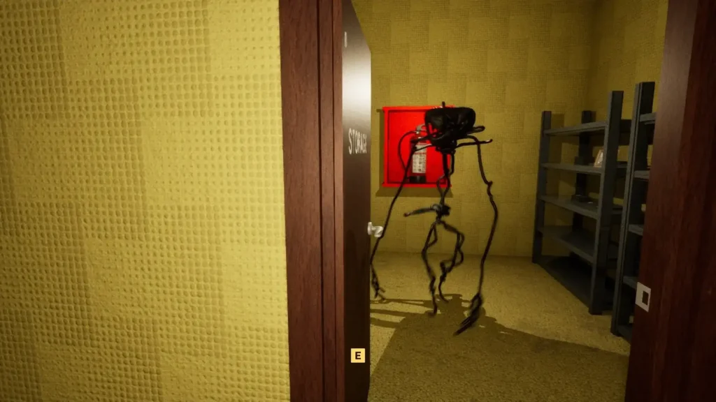BACKROOMS ANOMALY