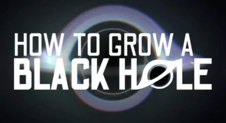 How To Grow a Black Hole